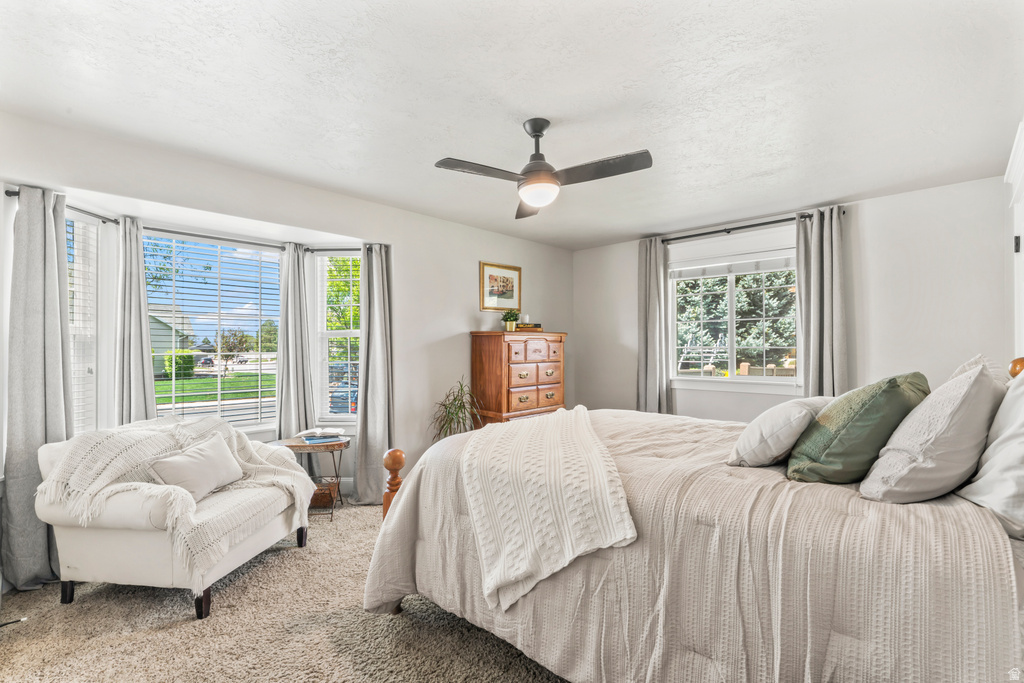 1372 N 1380 W Mapleton, UT 84664