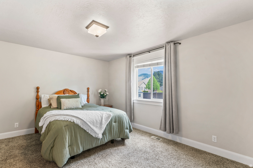 1372 N 1380 W Mapleton, UT 84664