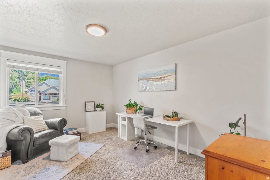 1372 N 1380 W Mapleton, UT 84664