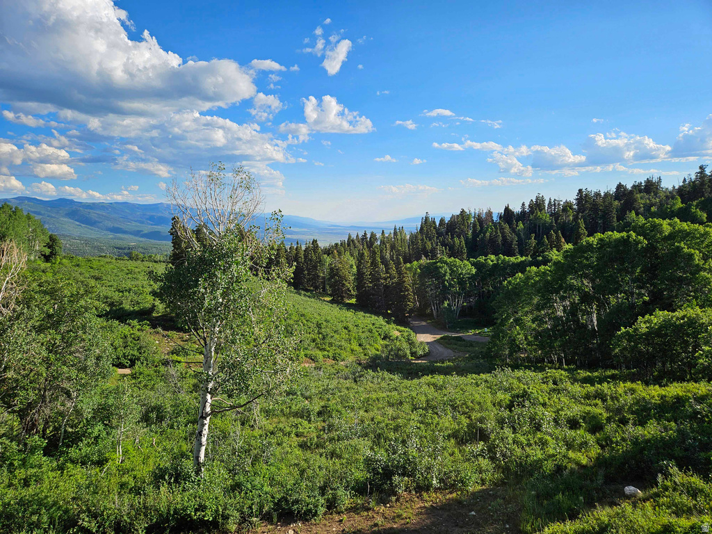 53 N DEER VALLEY DR #K53 Fairview, UT 84629