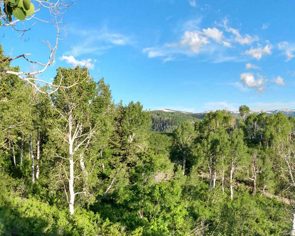 53 N DEER VALLEY DR #K53 Fairview, UT 84629