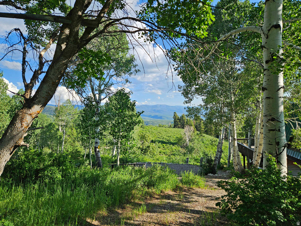 53 N DEER VALLEY DR #K53 Fairview, UT 84629