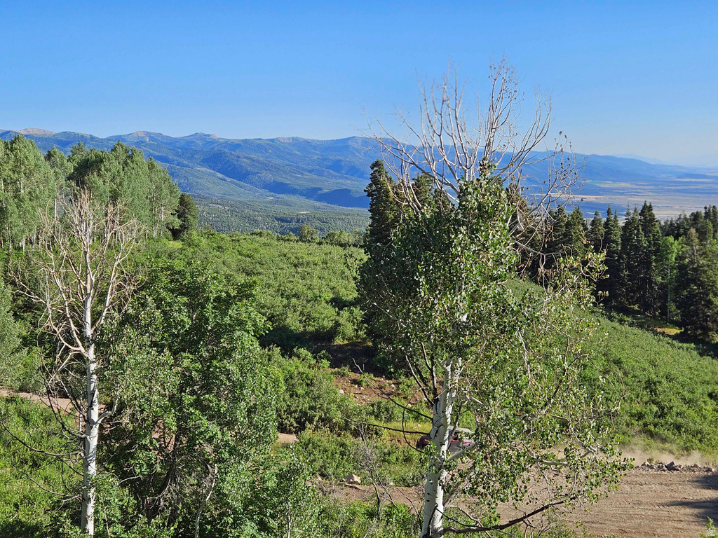 53 N DEER VALLEY DR #K53 Fairview, UT 84629