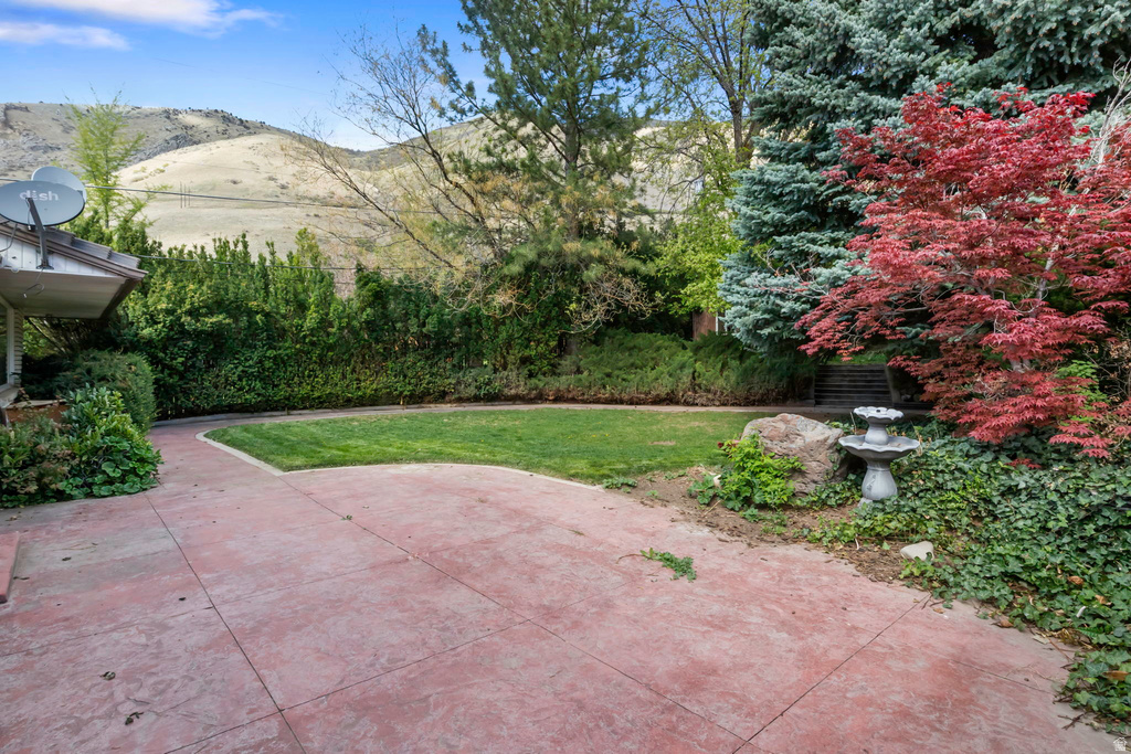 60 N 1230 E Springville, UT 84663