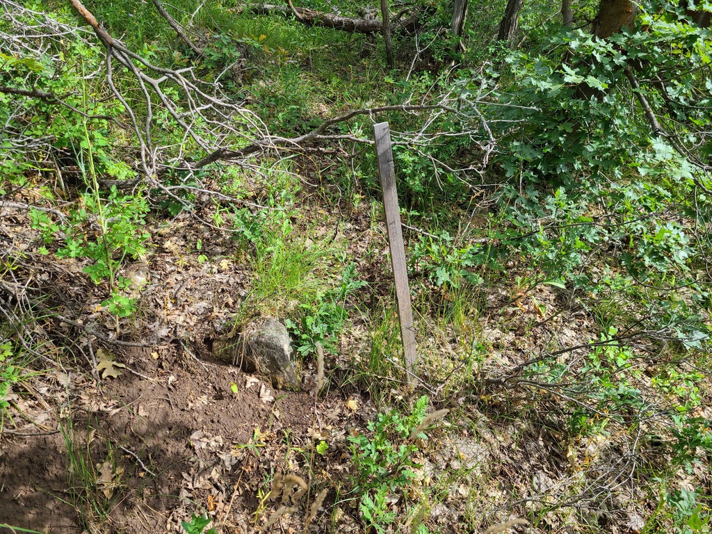 1132 E SHADOW WAY Fairview, UT 84629