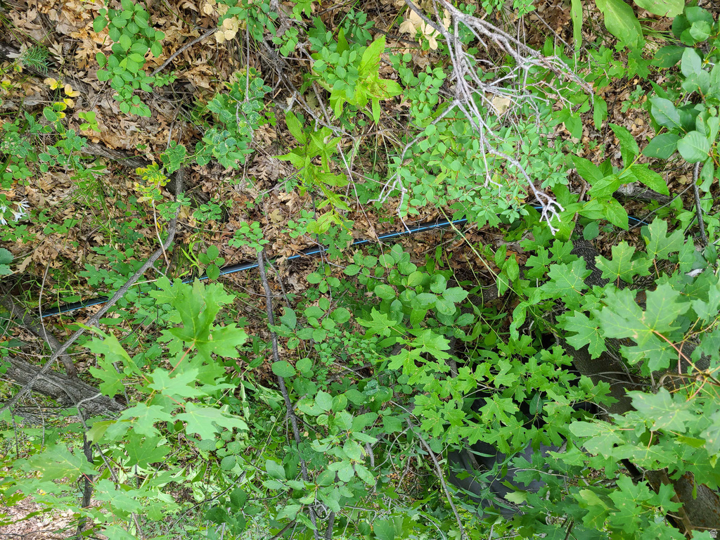 1132 E SHADOW WAY Fairview, UT 84629