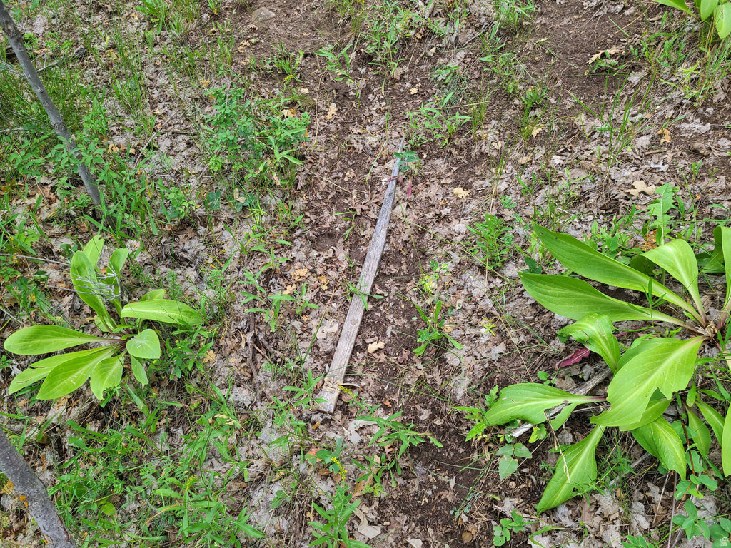 1132 E SHADOW WAY Fairview, UT 84629