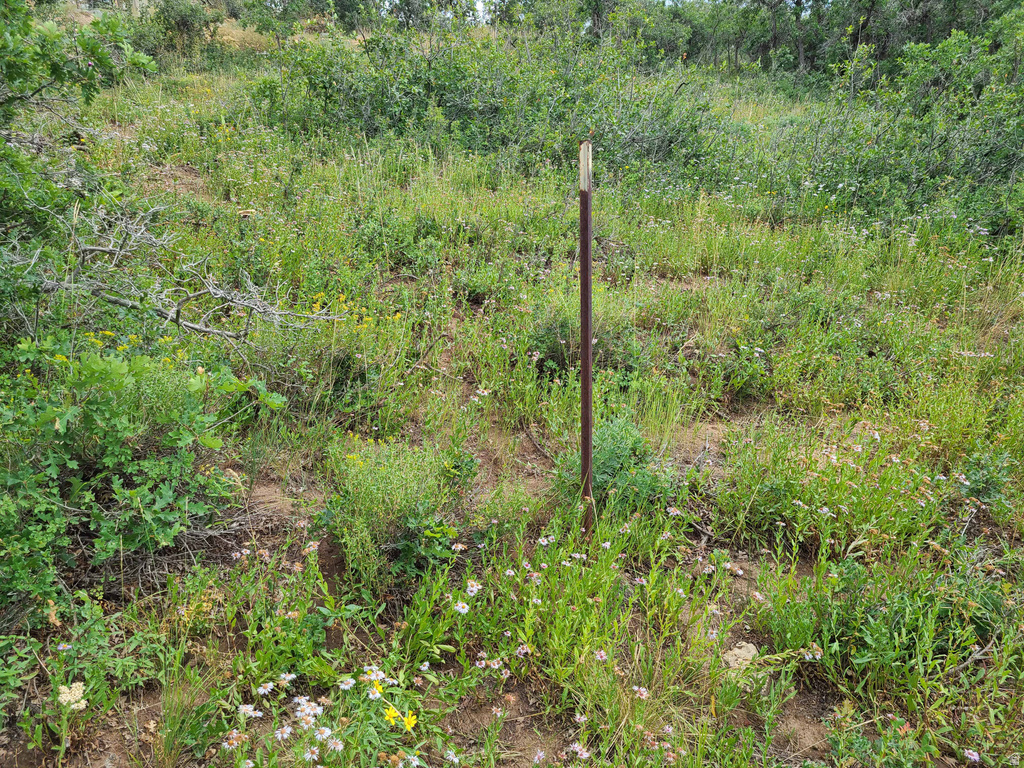 1132 E SHADOW WAY Fairview, UT 84629