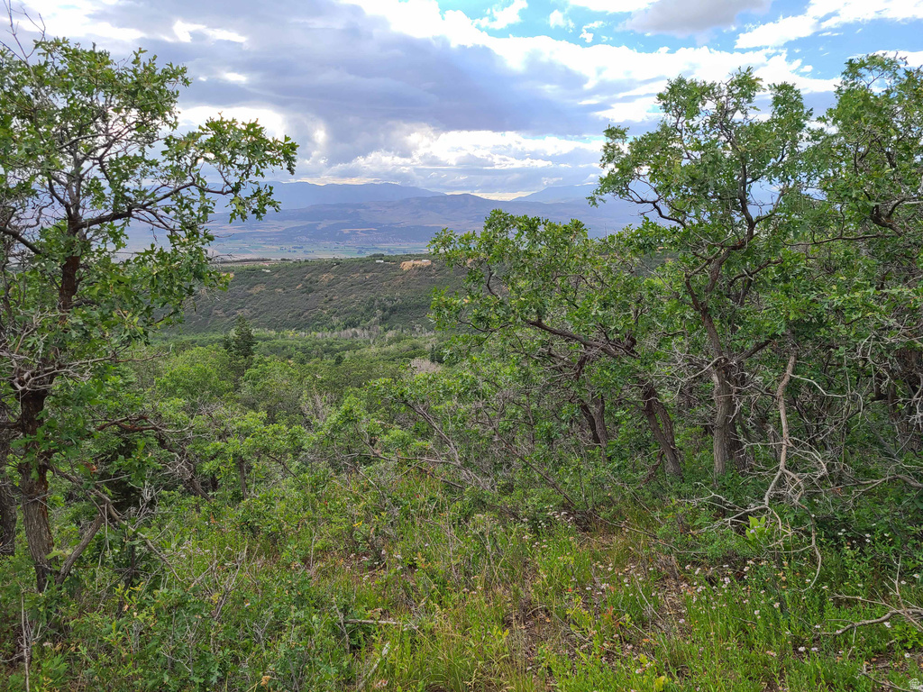 1132 E SHADOW WAY Fairview, UT 84629