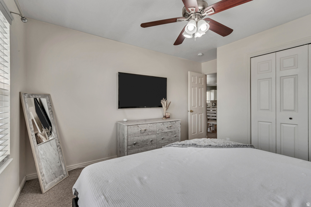 244 W VINEYARD WAY Saratoga Springs, UT 84045