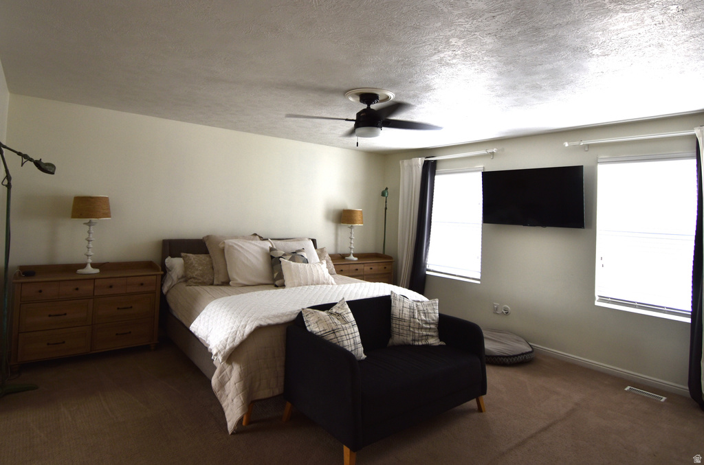 5163 W BUCKEYE VIEW WAY Riverton, UT 84096