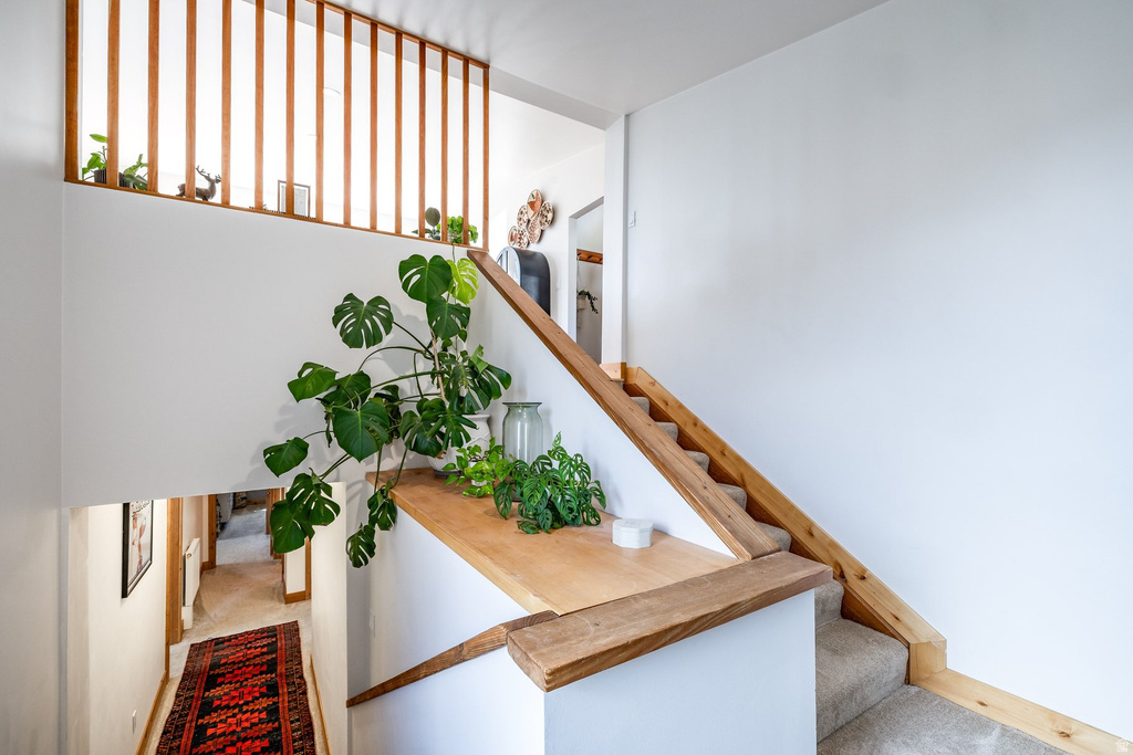 6298 E LEFTHAND FORK LN Emigration Canyon, UT 84108