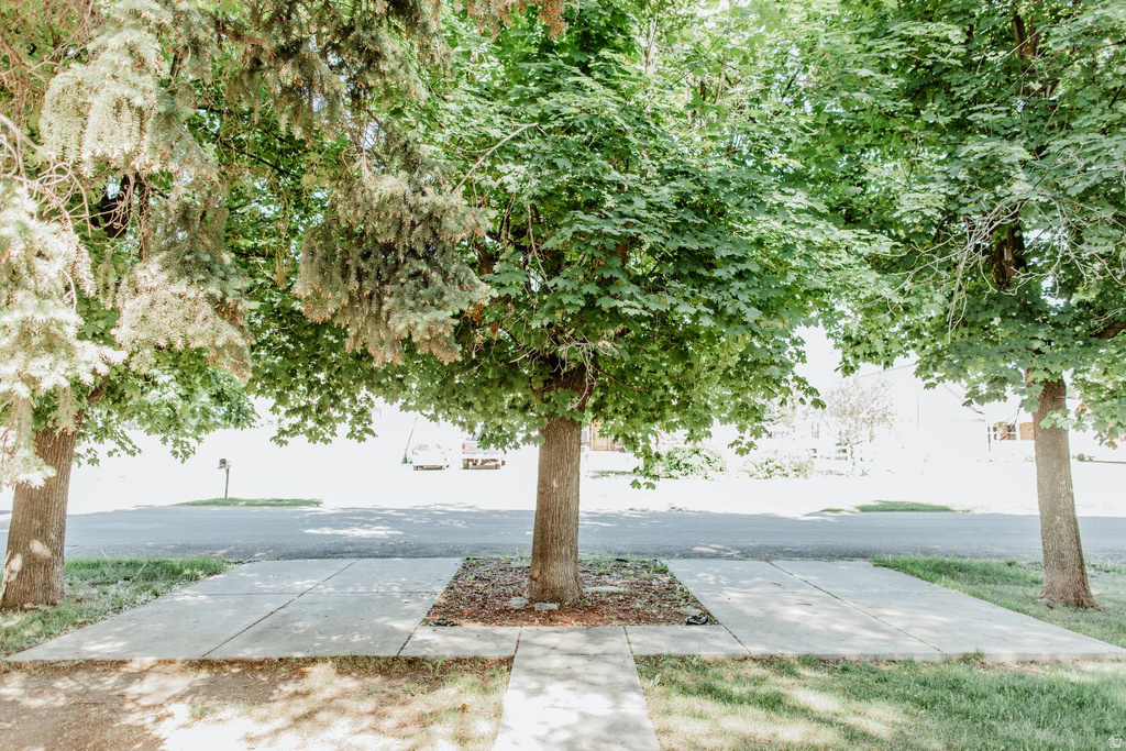 250 S 300 E Hyrum, UT 84319