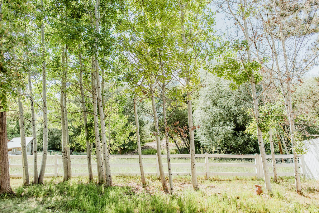 250 S 300 E Hyrum, UT 84319