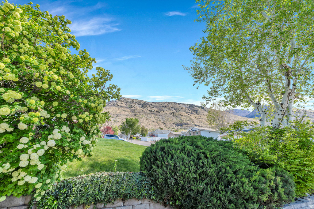 527 N 1180 E Pleasant Grove, UT 84062