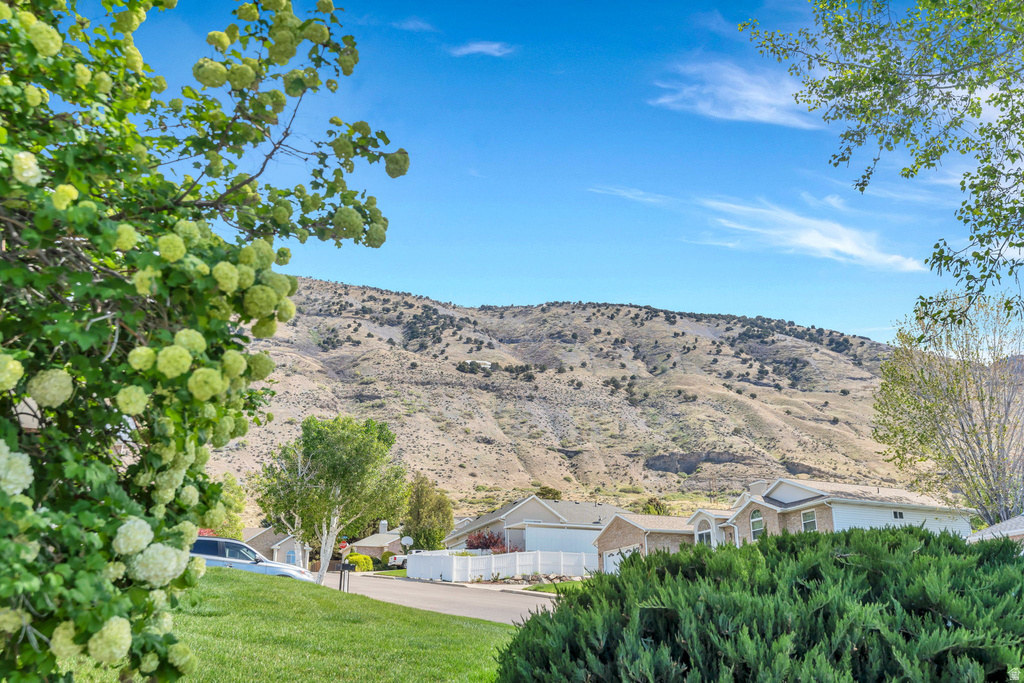 527 N 1180 E Pleasant Grove, UT 84062