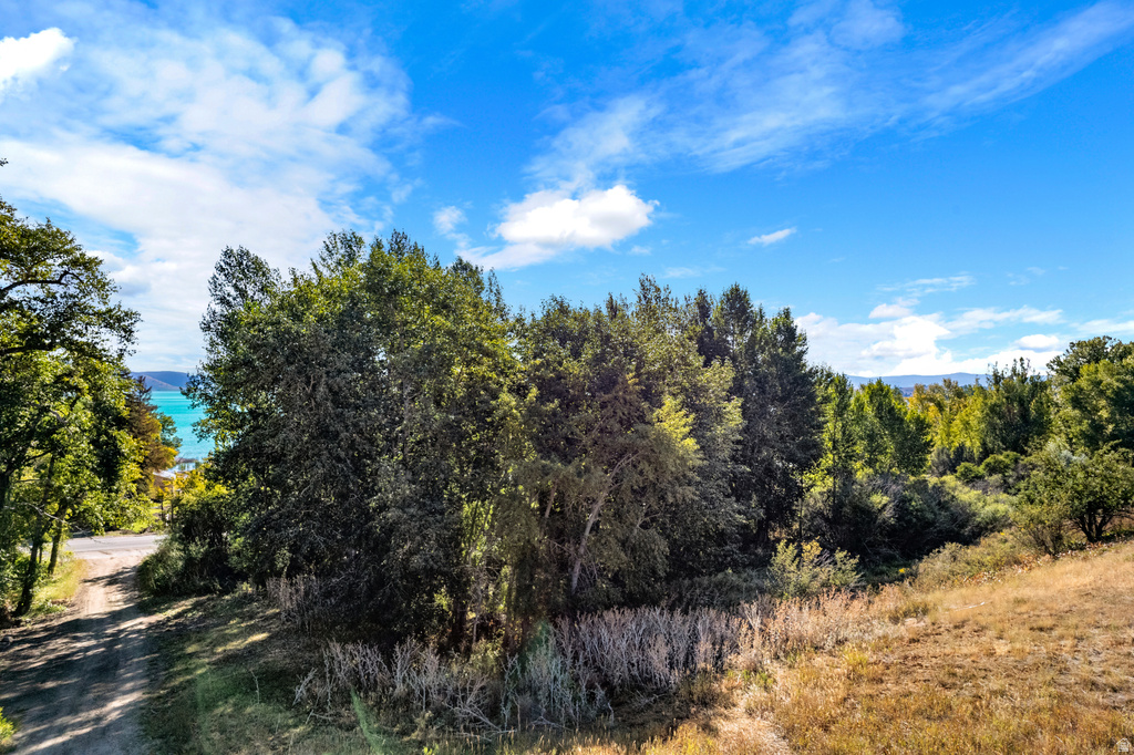 1115 S BEAR LAKE BLVD Garden City, UT 84028