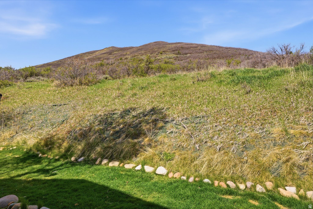 1041 W GRINDELWALD CT #R-5 Midway, UT 84049