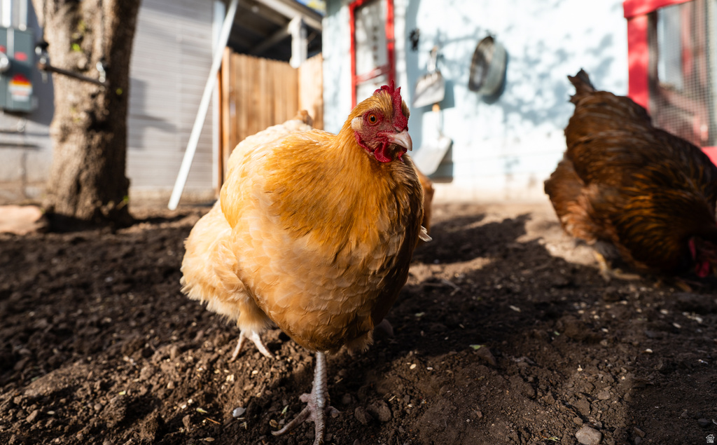 284 K ST Salt Lake City, UT 84103