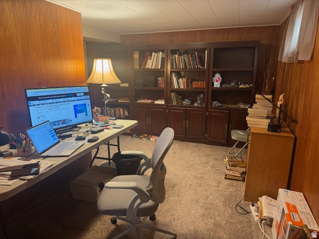 196 196 S BLUE MOUTNAIN DRIVR Monticello, UT 84535