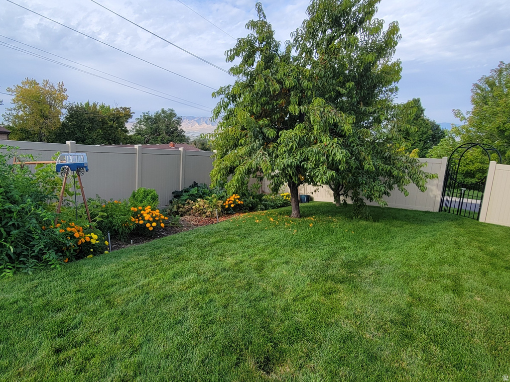 1118 N 580 E Pleasant Grove, UT 84062