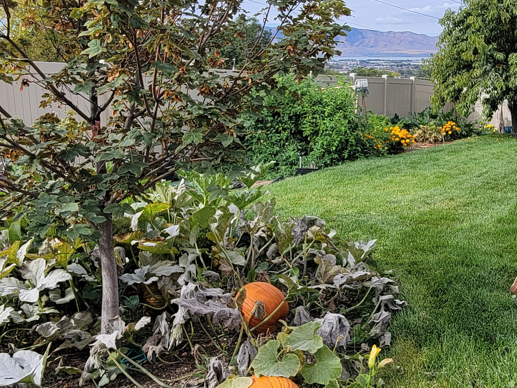 1118 N 580 E Pleasant Grove, UT 84062