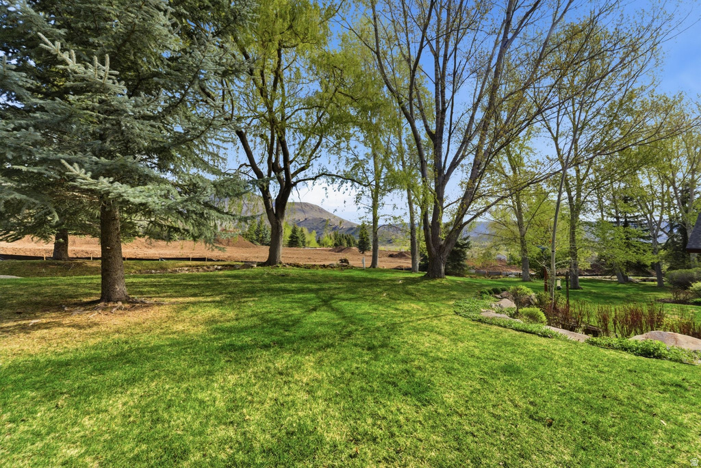 1096 TURNBERRY CT Midway, UT 84049