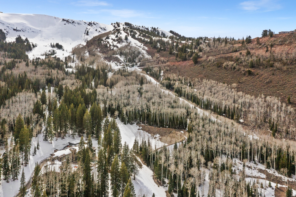 198  WHITE PINE CANYON RD Park City, UT 84060