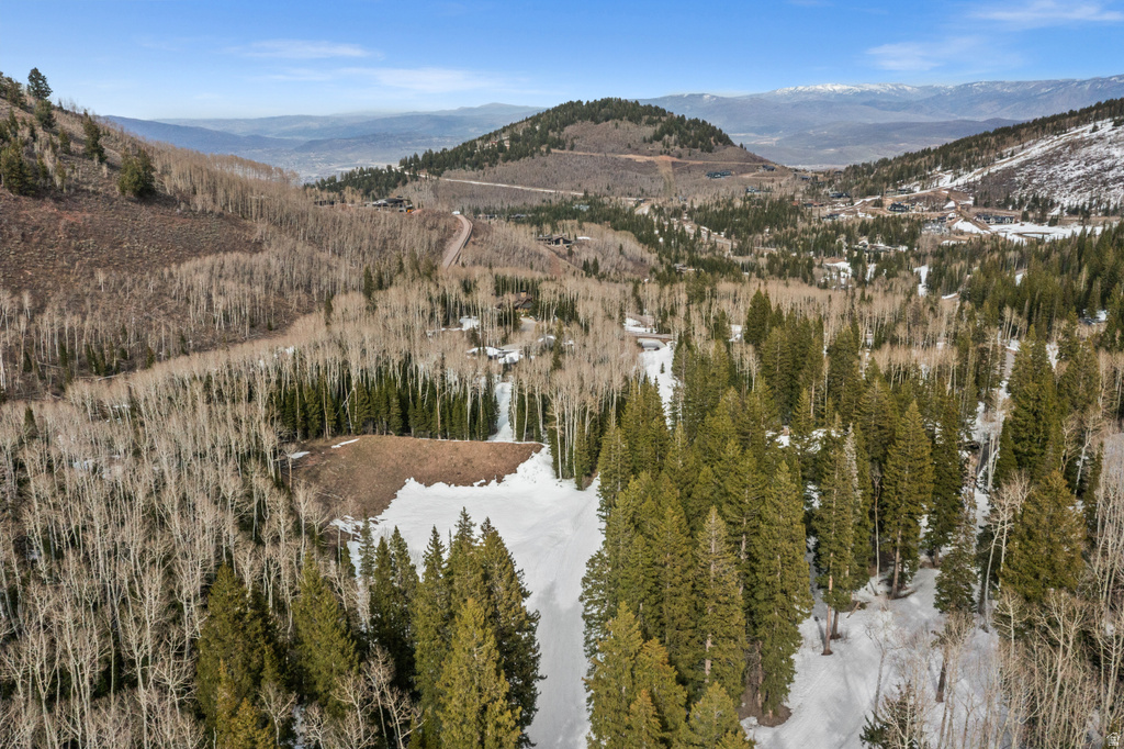 198  WHITE PINE CANYON RD Park City, UT 84060