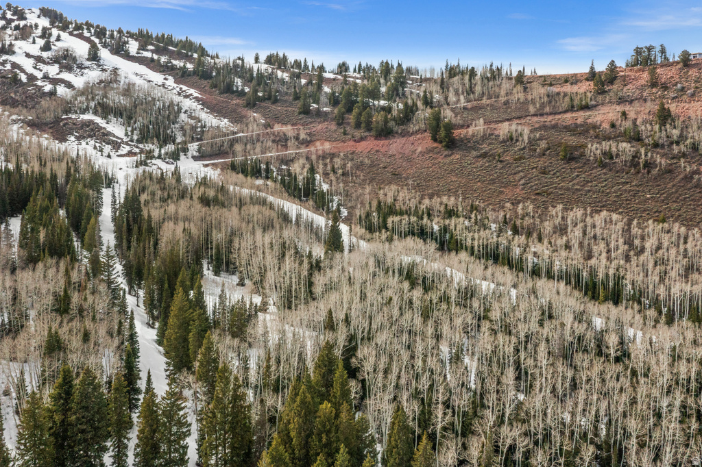 198  WHITE PINE CANYON RD Park City, UT 84060