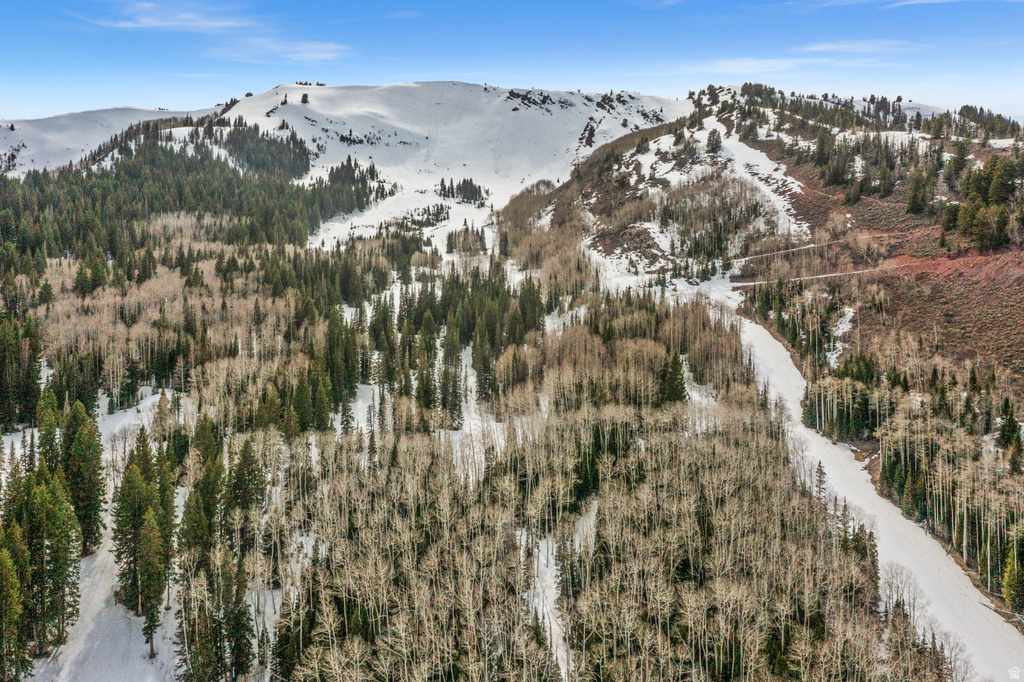 198  WHITE PINE CANYON RD Park City, UT 84060