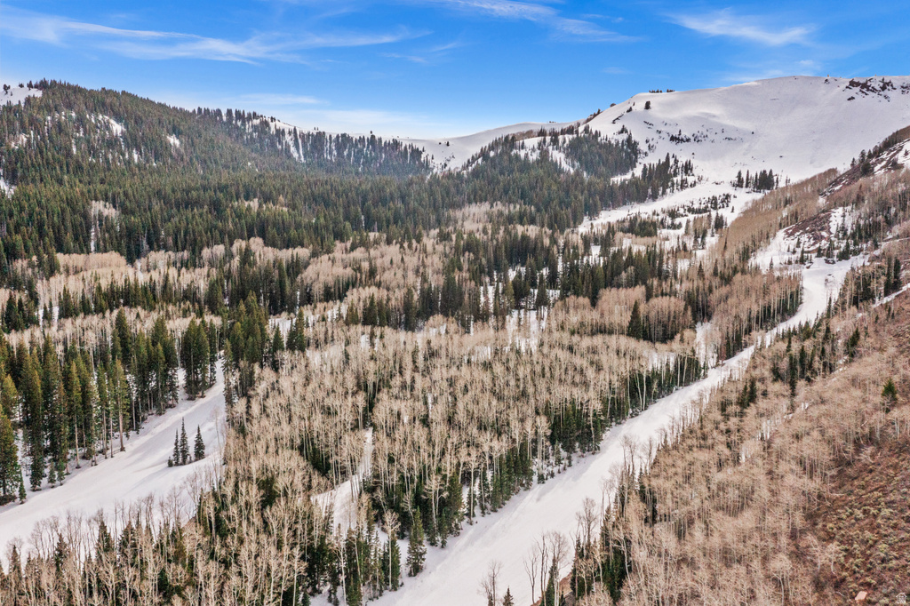 198  WHITE PINE CANYON RD Park City, UT 84060