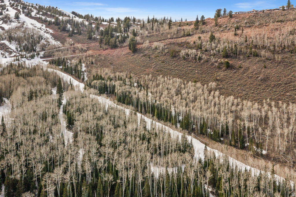 198  WHITE PINE CANYON RD Park City, UT 84060