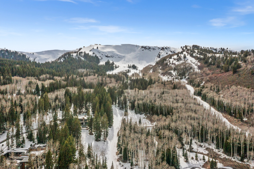 198  WHITE PINE CANYON RD Park City, UT 84060