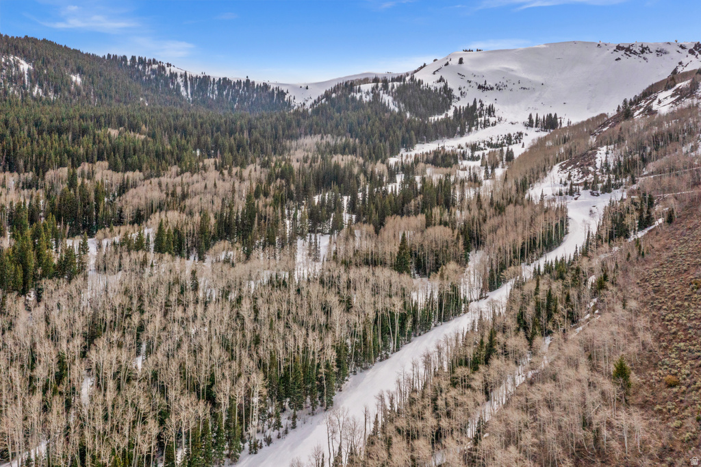 198  WHITE PINE CANYON RD Park City, UT 84060