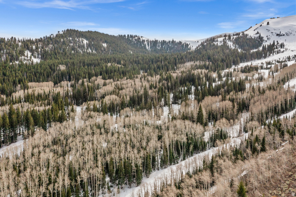 198  WHITE PINE CANYON RD Park City, UT 84060