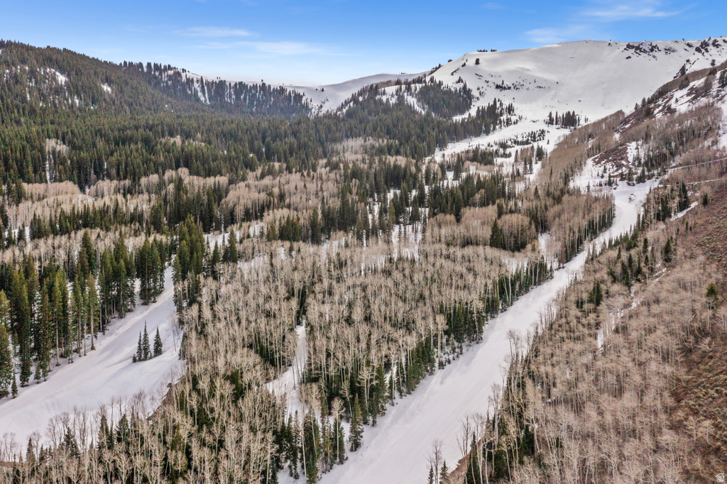 198  WHITE PINE CANYON RD Park City, UT 84060