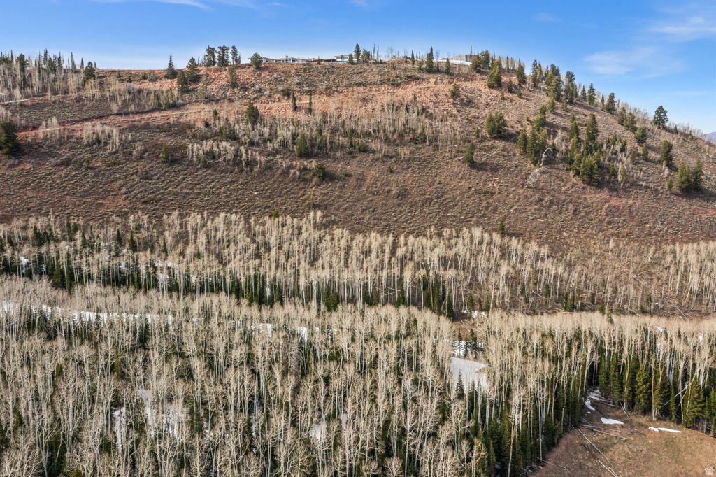 198  WHITE PINE CANYON RD Park City, UT 84060