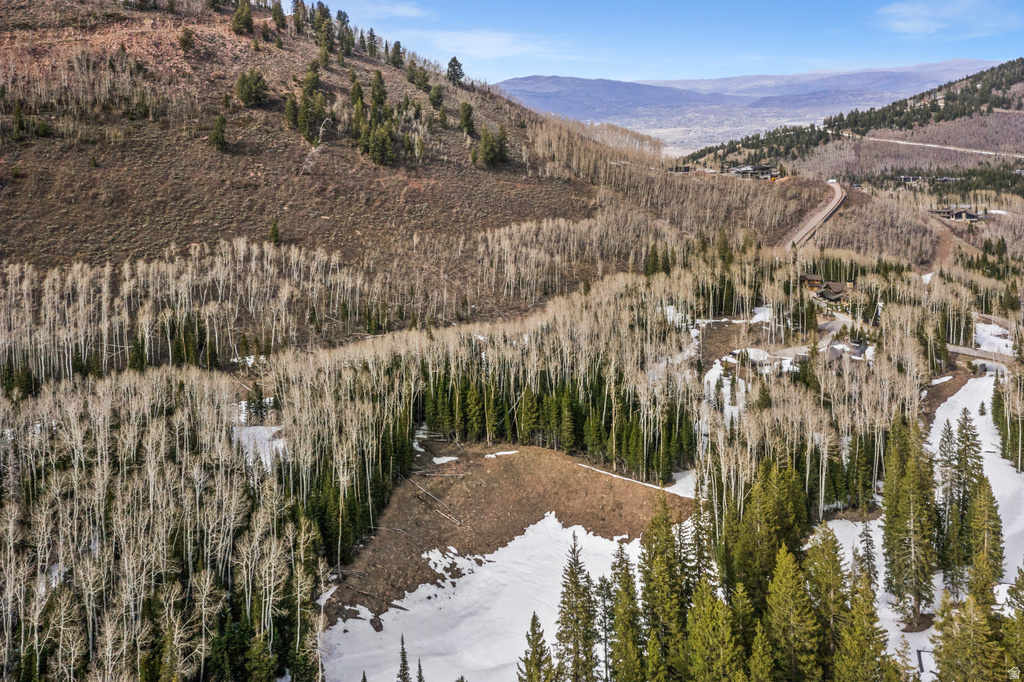 198  WHITE PINE CANYON RD Park City, UT 84060