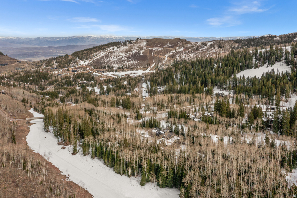 198  WHITE PINE CANYON RD Park City, UT 84060