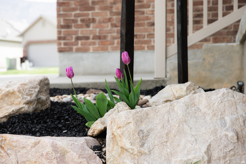 1013 W 3000 N Pleasant View, UT 84414