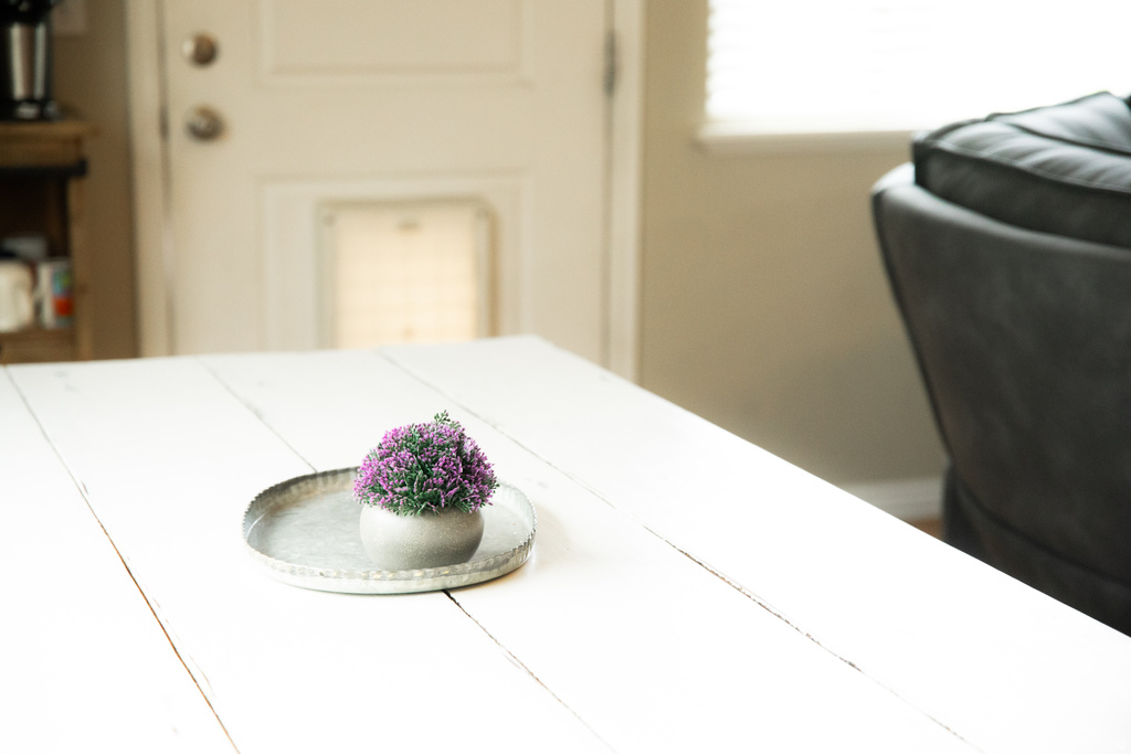 1013 W 3000 N Pleasant View, UT 84414