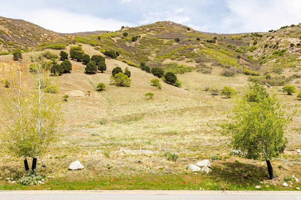 7141 S CITY VIEW DR Cottonwood Heights, UT 84121