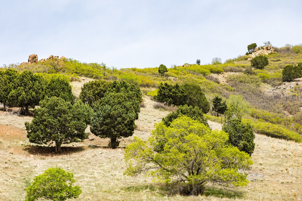 7141 S CITY VIEW DR Cottonwood Heights, UT 84121