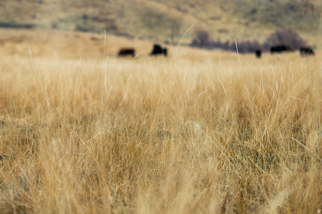 7900 W 300 N Malad City, ID 83252