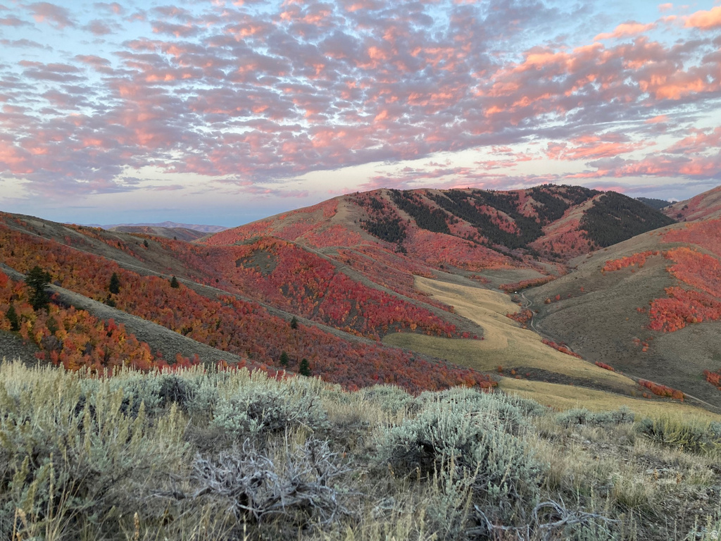 7900 W 300 N Malad City, ID 83252