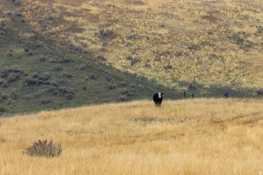 7900 W 300 N Malad City, ID 83252