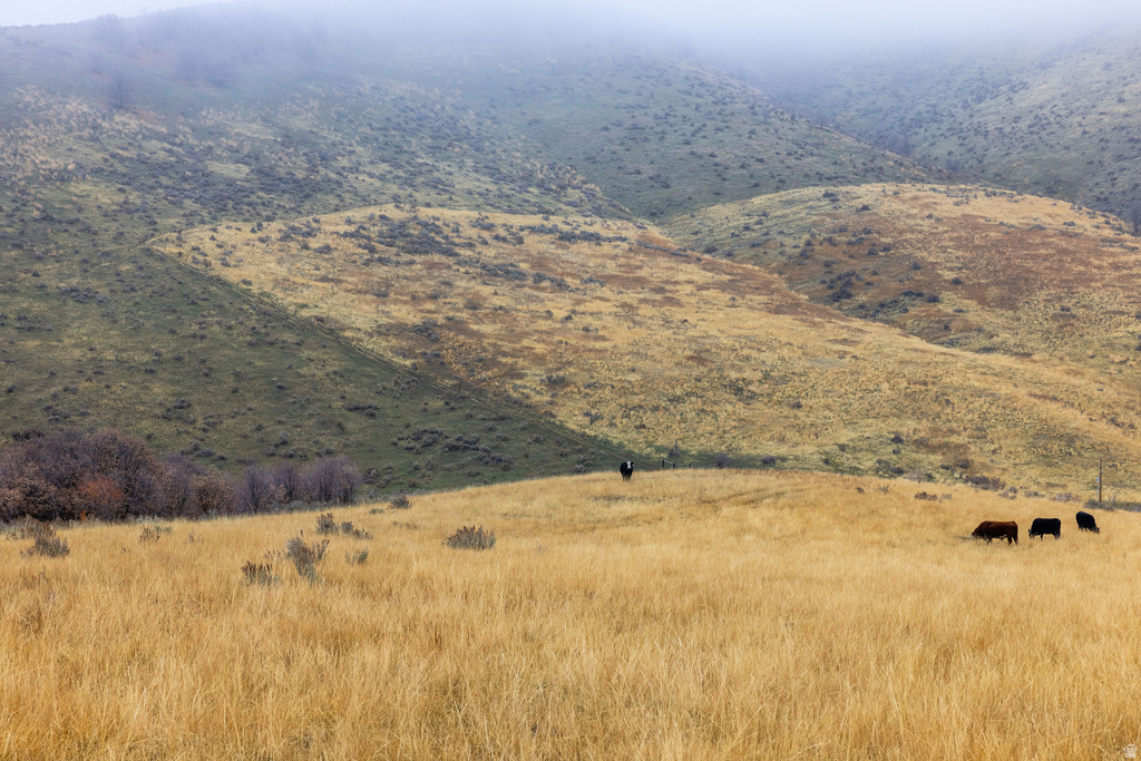 7900 W 300 N Malad City, ID 83252