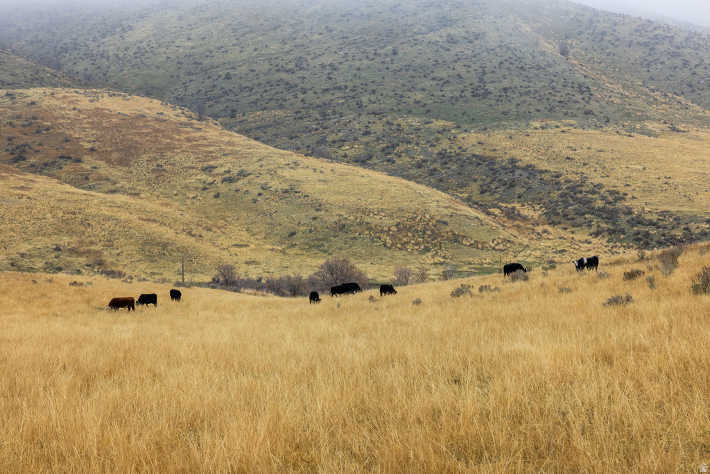 7900 W 300 N Malad City, ID 83252