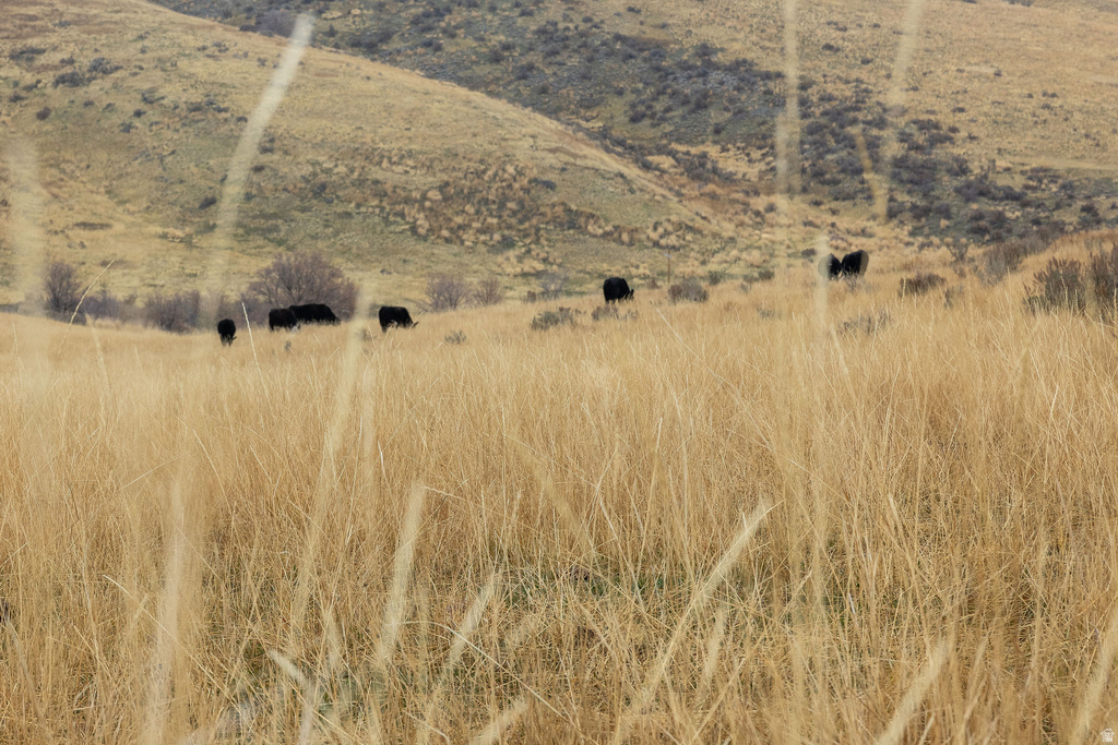 7900 W 300 N Malad City, ID 83252